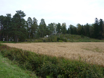 Oravainen